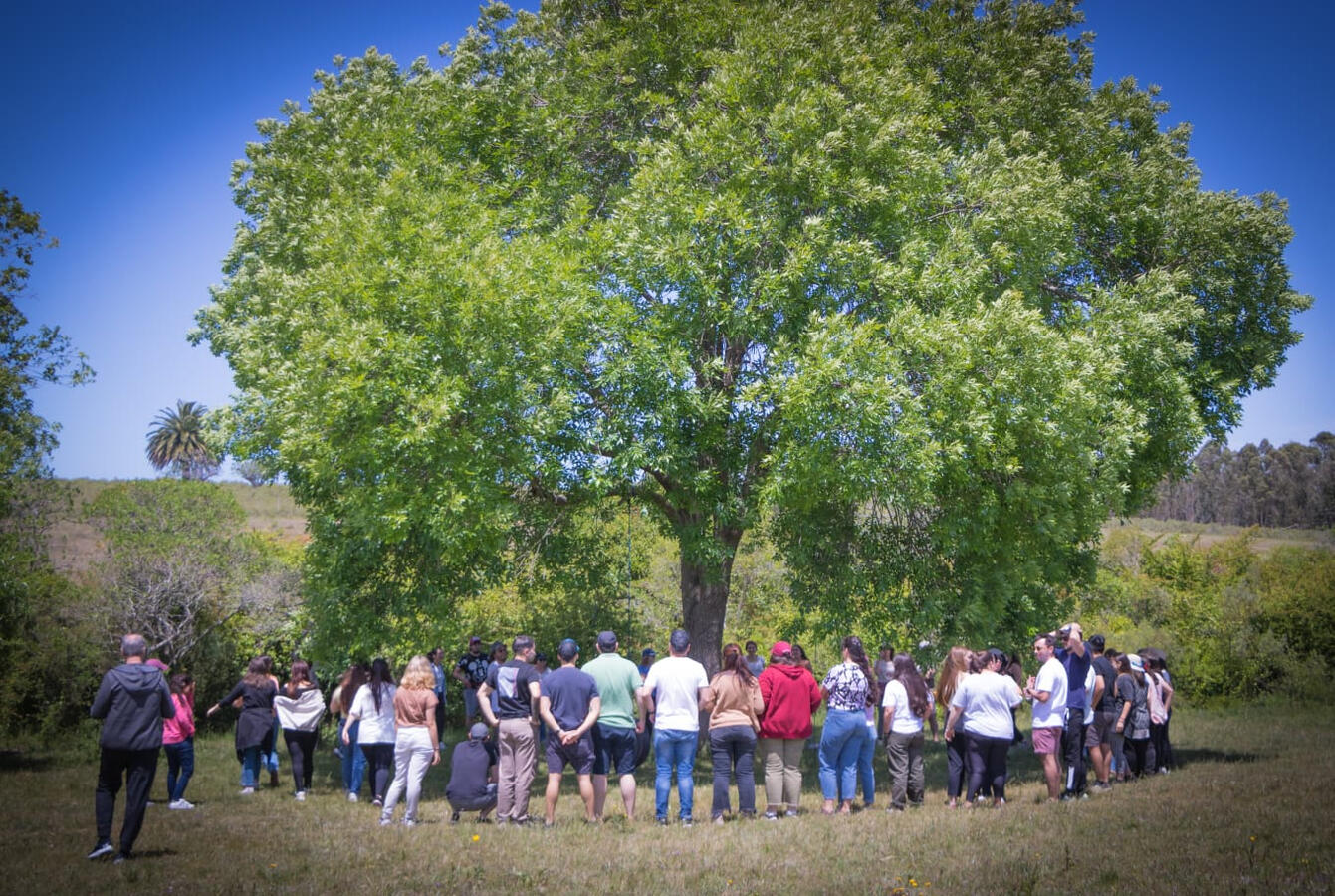 Eventos empresariales, reuniones para grupos de trabajo.