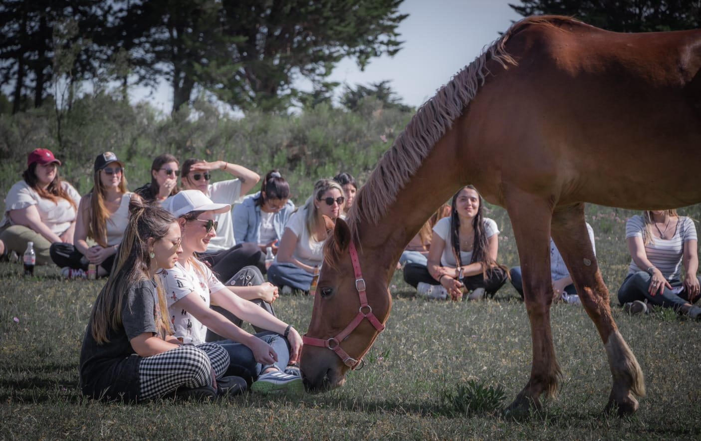 Talleres vivenciales de contacto con el caballo.